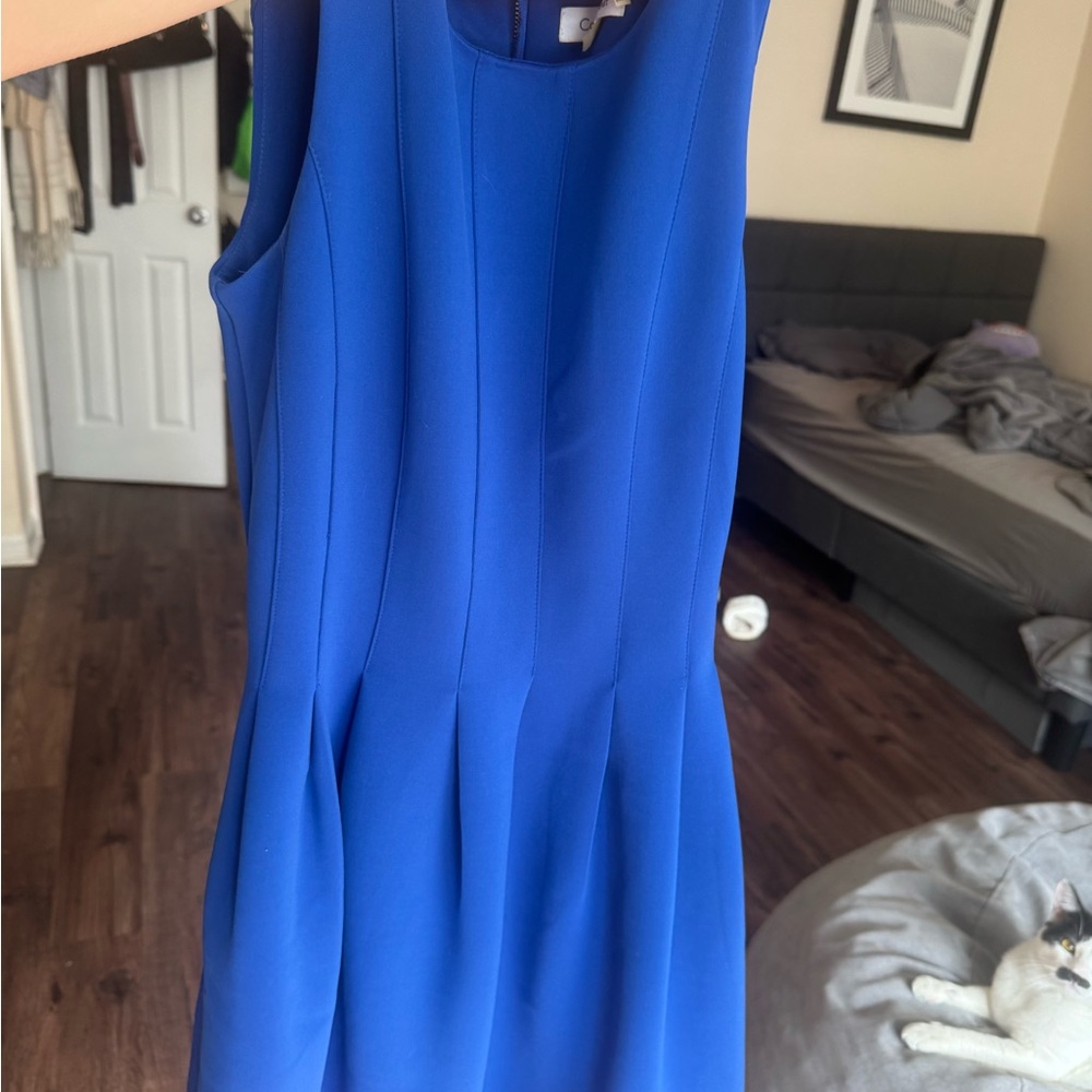 Calvin Klein Royal Blue Mini Dress